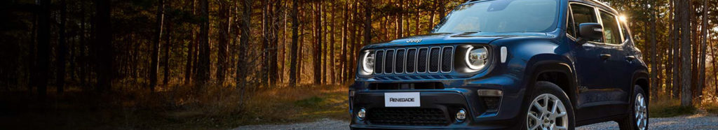 Jeep Renegade se tenant fièrement sur un chemin forestier, illustrant l'union parfaite entre nature et aventure.