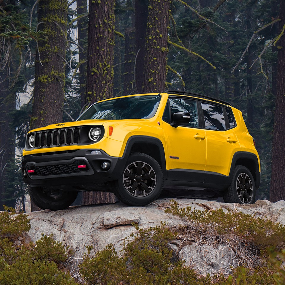 Peut être une image de jeep